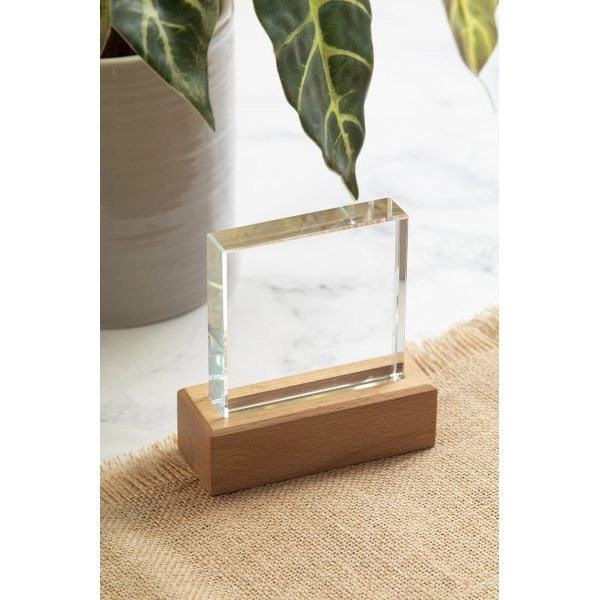 Immagine Rectofi trofeo