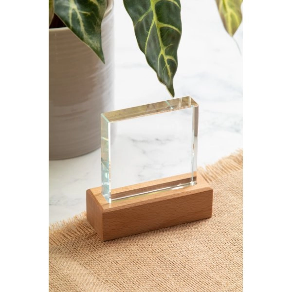 Immagine Rectofi trofeo