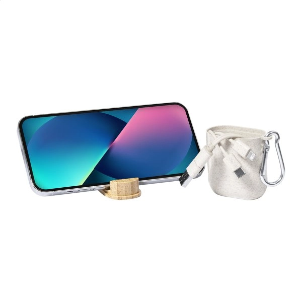 Immagine Nitida Cavo di ricarica USB