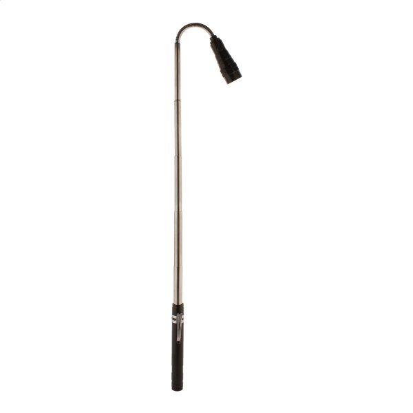 Immagine Giraffe Torcia estensibile