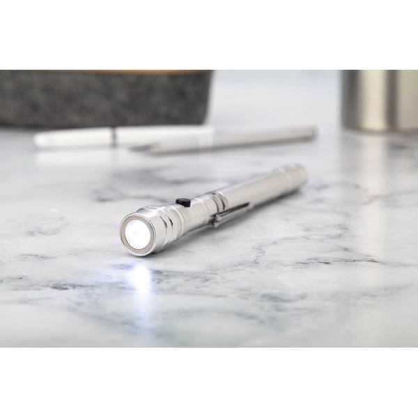 Immagine Giraffe Torcia estensibile