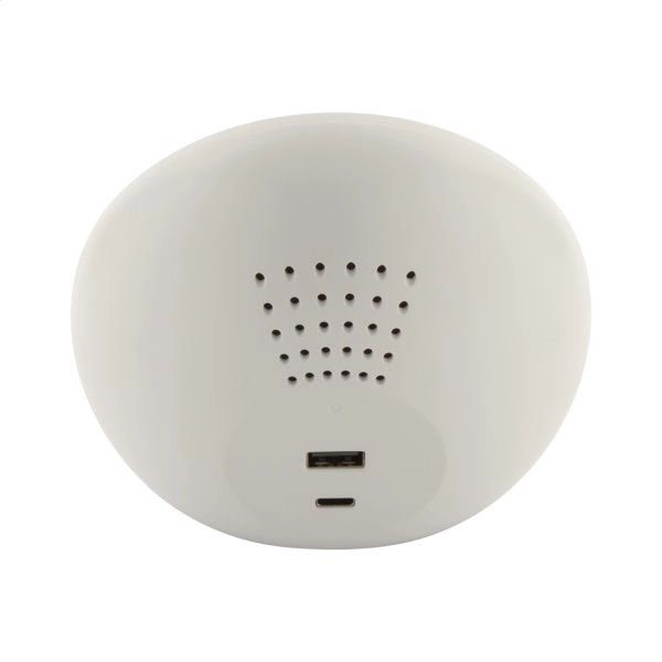 Immagine Rabolarm Sveglia con caricatore wireless