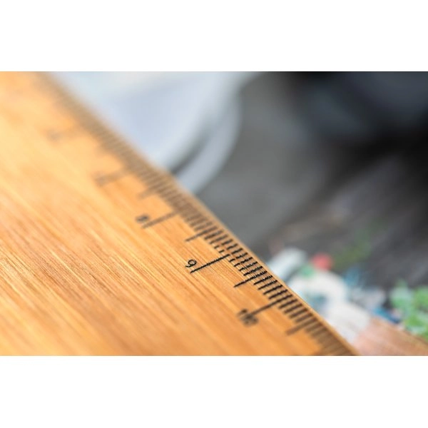 Immagine Decora portapenne in RPET