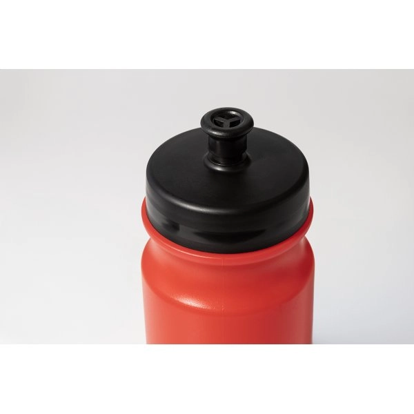 Immagine Palmares Borraccia