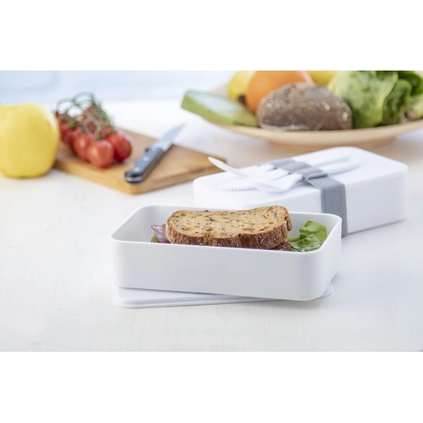 Immagine Ayam contenitore antibatterico per il pranzo