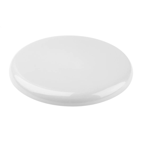 Smooth Fly frisbee