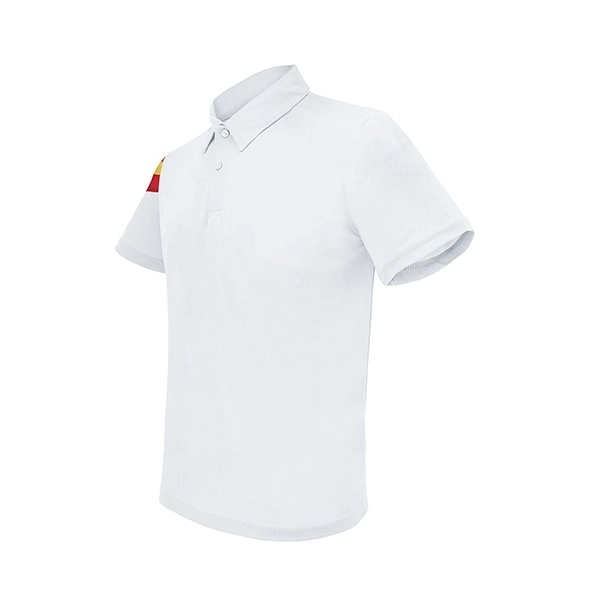 Immagine POLO BANDIERA 
