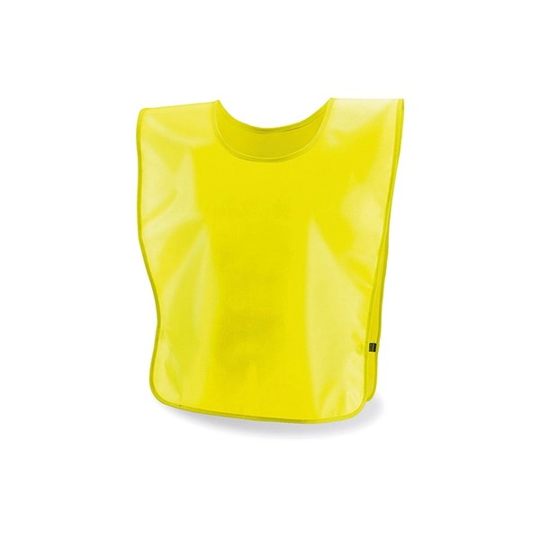 Immagine Casacca da allenamento FunFit PECTOR FLU