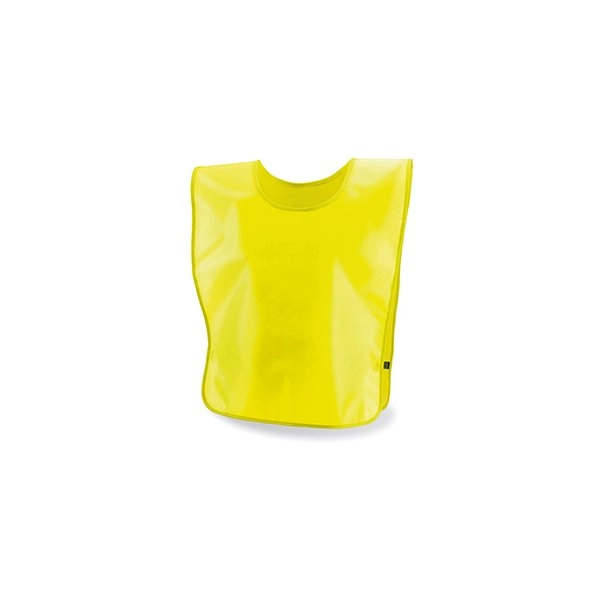 Immagine Casacca da allenamento FunFit PECTOR FLU