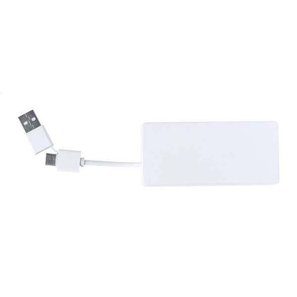 Immagine Bilkon USB hub in RABS