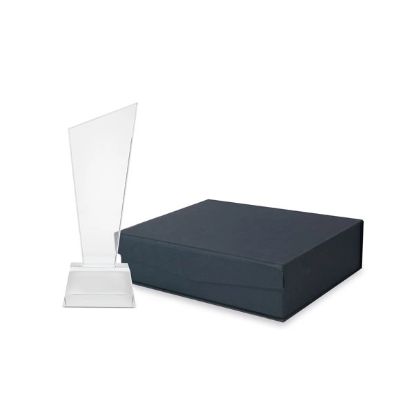 Immagine TROFEO VETRO 