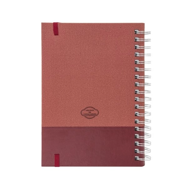 Immagine AGENDA P.CARDIN CON ANELLI 