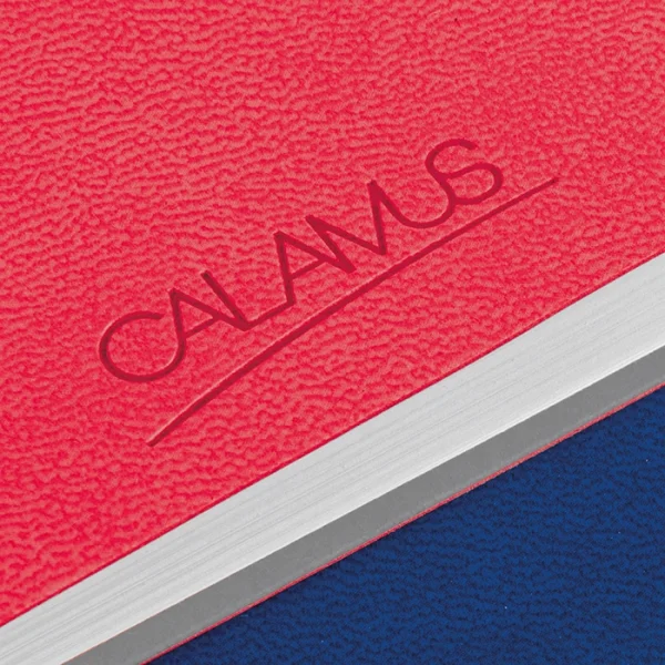 Immagine NOTES INFINITY