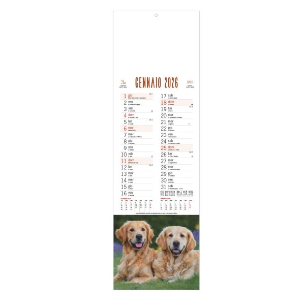 B071 - CALENDARIO CANI E GATTI