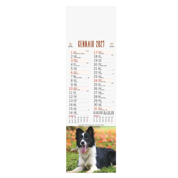 B071 - CALENDARIO CANI E GATTI