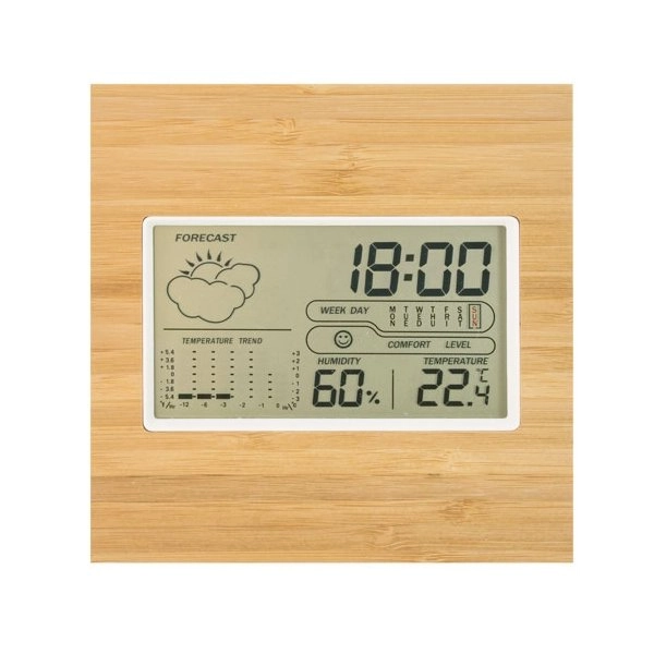 Immagine STAZIONE METEO IN BAMBÚ 