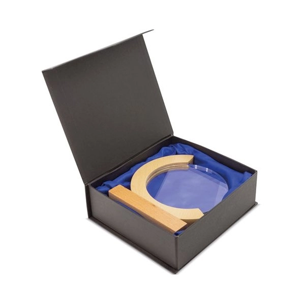 Immagine TROFEO MODELLO 