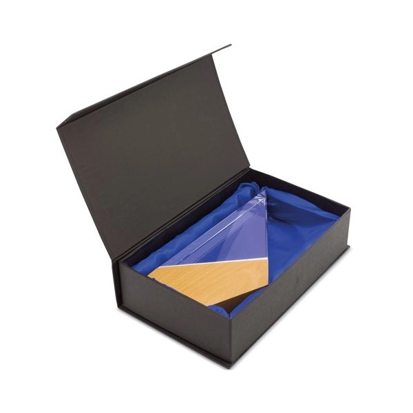 Immagine TROFEO MODELLO 