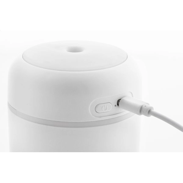 Immagine Rapor Umidificatore in RABS