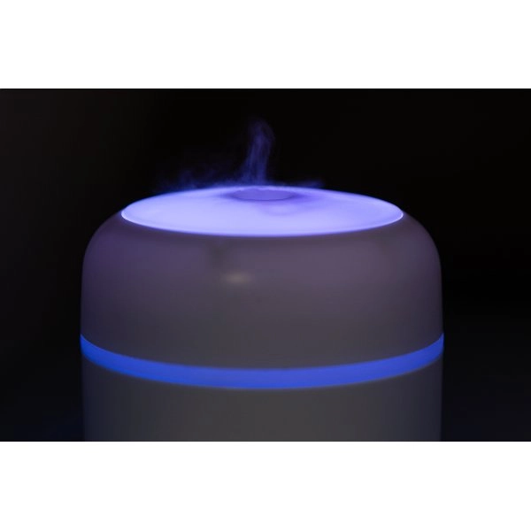 Immagine Rapor Umidificatore in RABS