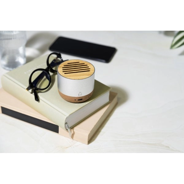Immagine Corbofi Cassa wireless