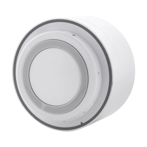 Immagine Ramesh Cassa wireless 