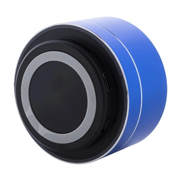 Immagine Ramesh Cassa wireless 