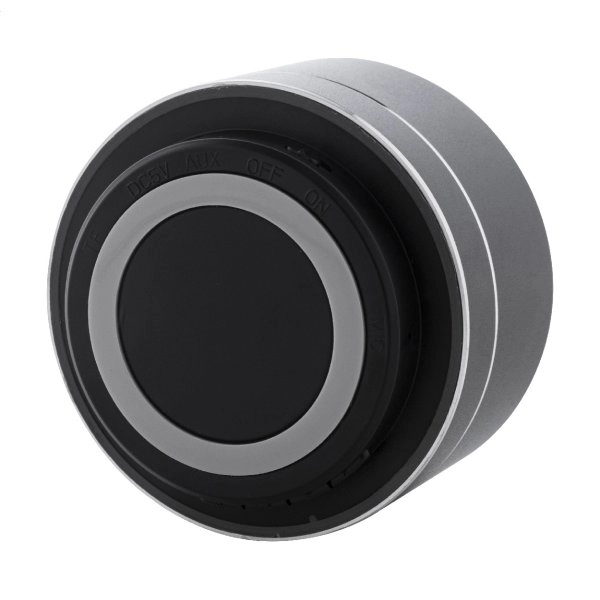 Immagine Ramesh Cassa wireless 