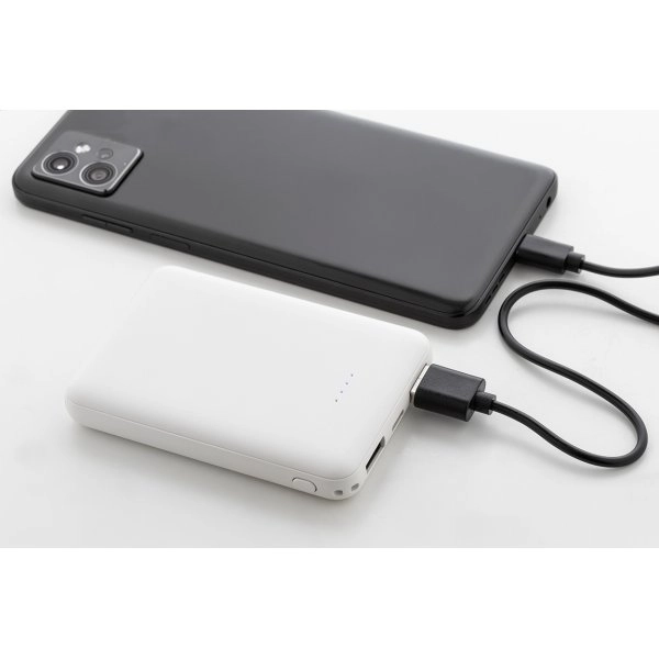 Immagine Rabobank Slim Power bank in RABS