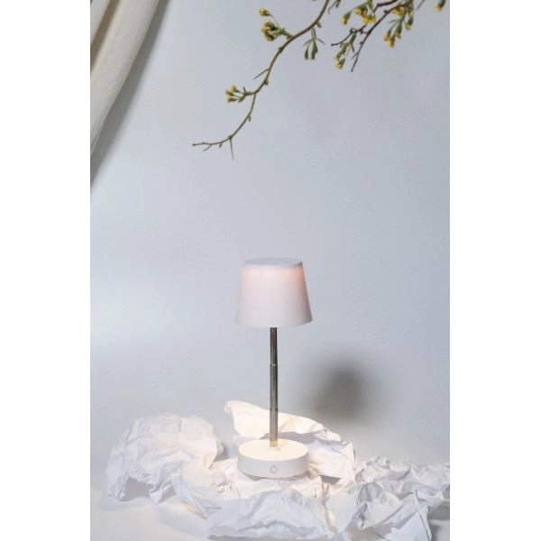 Immagine Cosmopolitan Lampada da tavolo in RABS