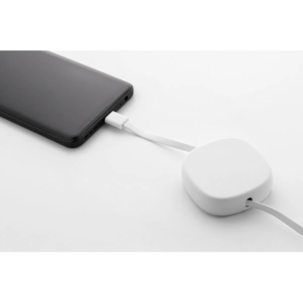 Immagine Cabsle Caricabatterie USB-C da 60W in RABS