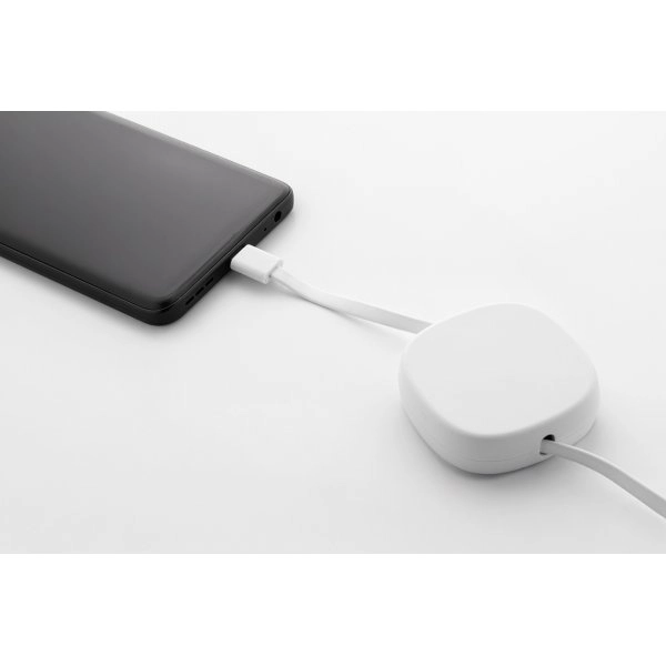 Immagine Cabsle Caricabatterie USB-C da 60W in RABS