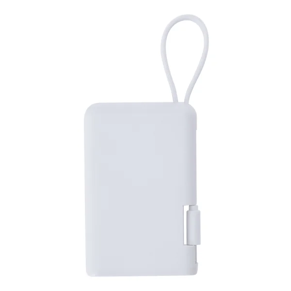 Immagine Power Bank Brandin