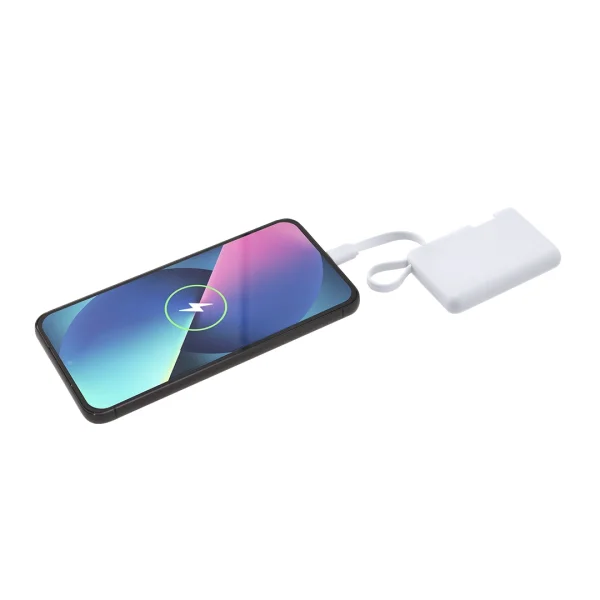 Immagine Power Bank Brandin