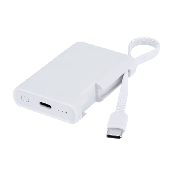 Immagine Power Bank Brandin