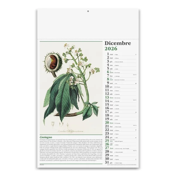 Immagine CALENDARIO ERBORISTERIA