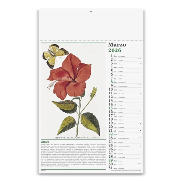 Immagine CALENDARIO ERBORISTERIA