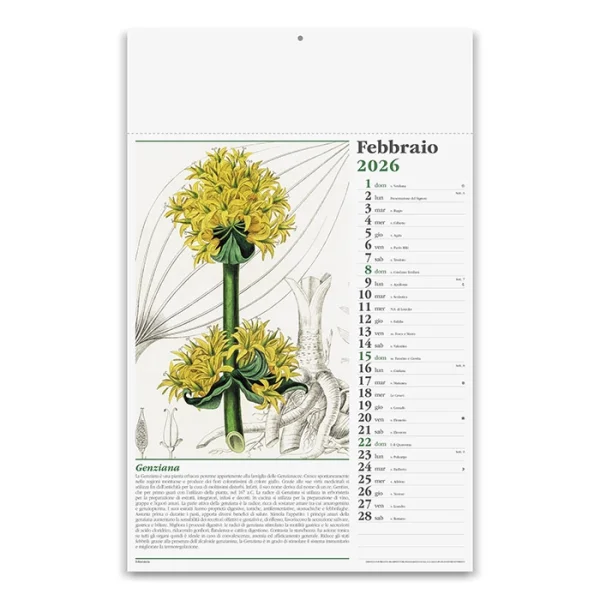 Immagine CALENDARIO ERBORISTERIA