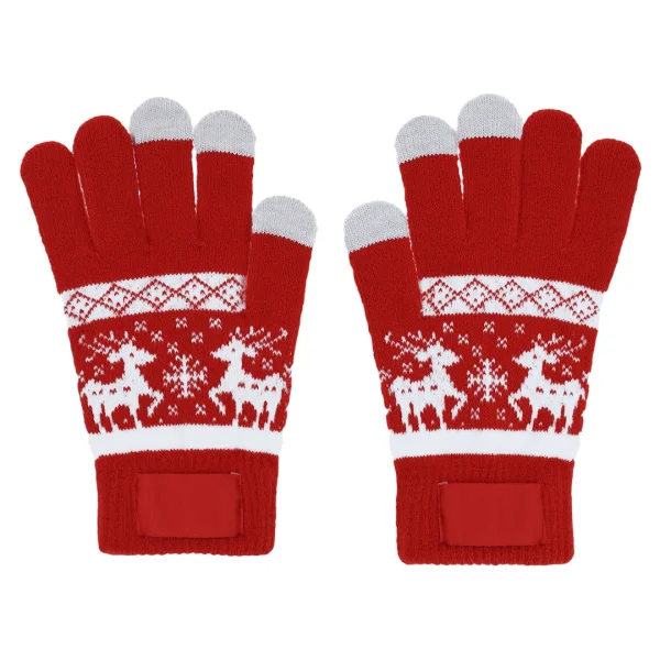 Immagine Guanti Touch Kainex