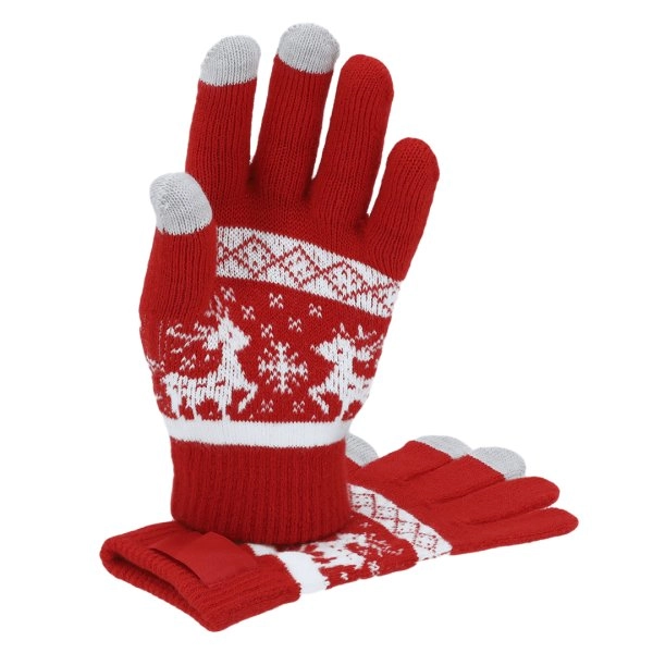 Immagine Guanti Touch Kainex
