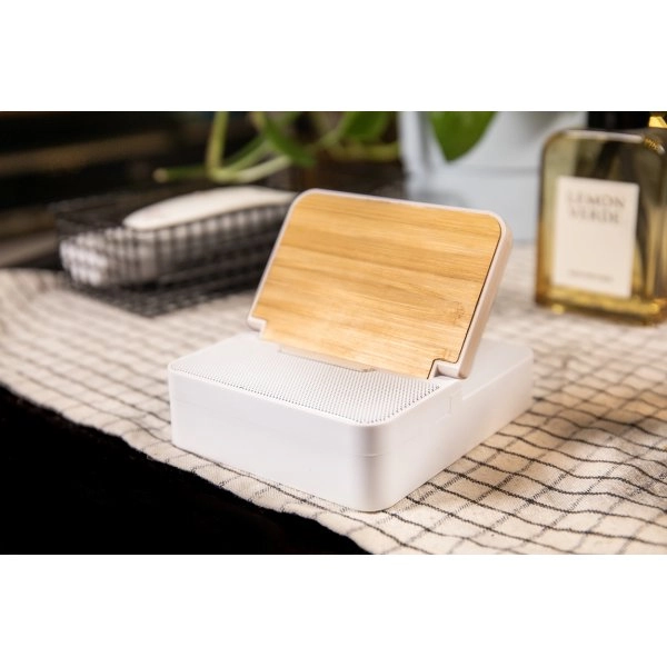 Immagine Hobofi Cassa wireless in RABS con caricatore