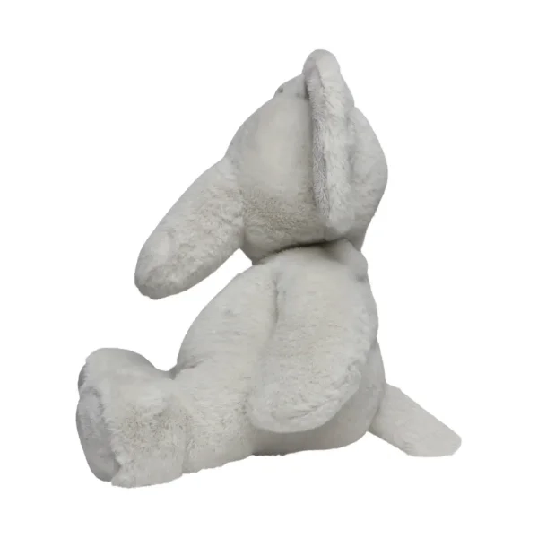 Immagine Elephant Lone