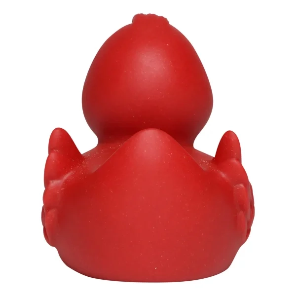 Immagine Wheat rubber duck classic