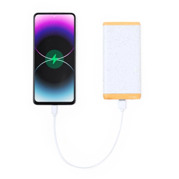 Immagine Power Bank Coquin