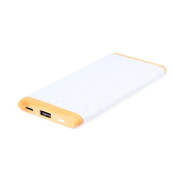 Immagine Power Bank Coquin