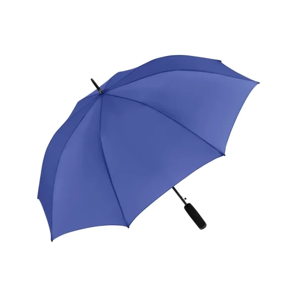 Immagine AC stick umbrella