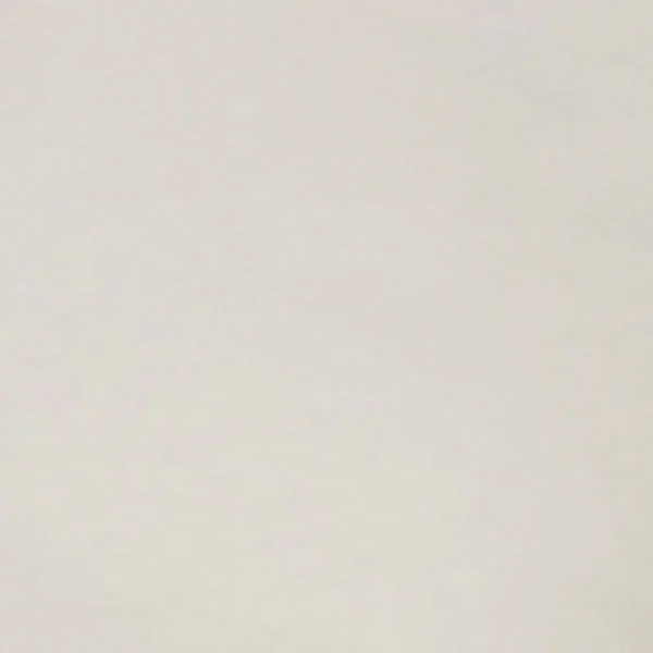 Immagine Women's heavyweight washed cropped tee