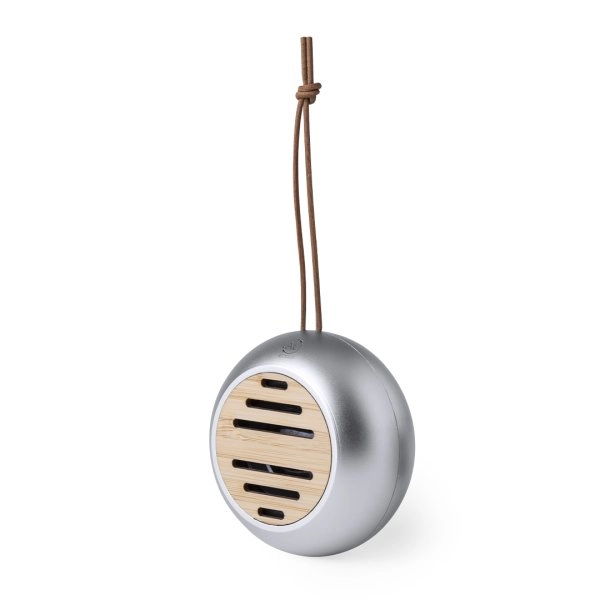 Immagine Cassa Hiwent