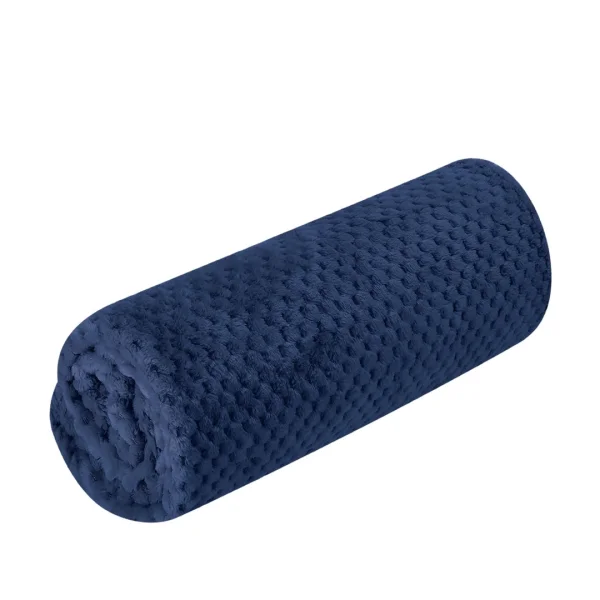 Immagine Coperta Iridian