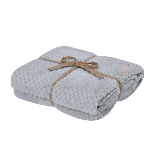Immagine Coperta Iridian